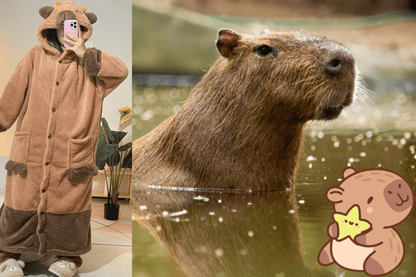 Why Capybara Fashion is Taking Over the World? - ZooFeet