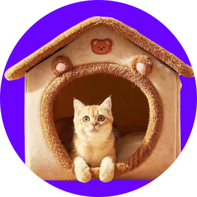 PawPalace